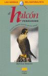 EL HALCÓN PEREGRINO DESCRIPCIÓN, COSTUMBRES, OBSERVACIÓN, PROTECCIÓN,